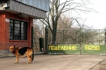 Разчистиха Челопечене от снаряди