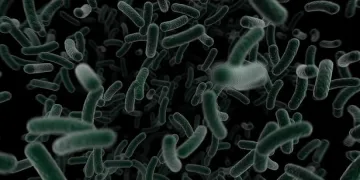 Мистериозна болест мори стотици азиатчета