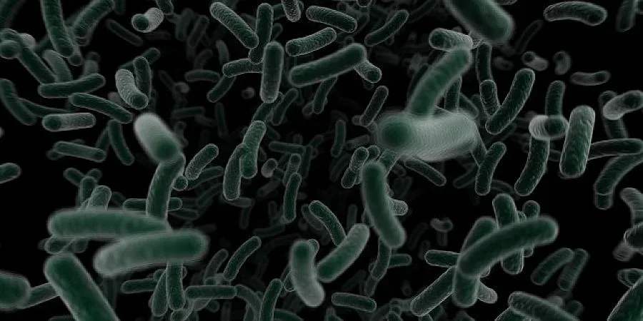 Мистериозна болест мори стотици азиатчета