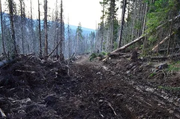 Отново пращат вертолети за пожара на Витоша