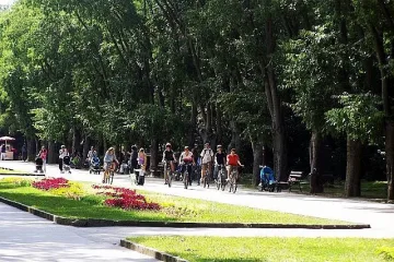 Капан от падащи дървета в Борисовата градина