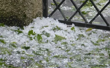 Горещ ден, но синоптиците алармират за градушки и мощен вятър