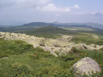 Пожар гори в Бистришко бранище на Витоша 