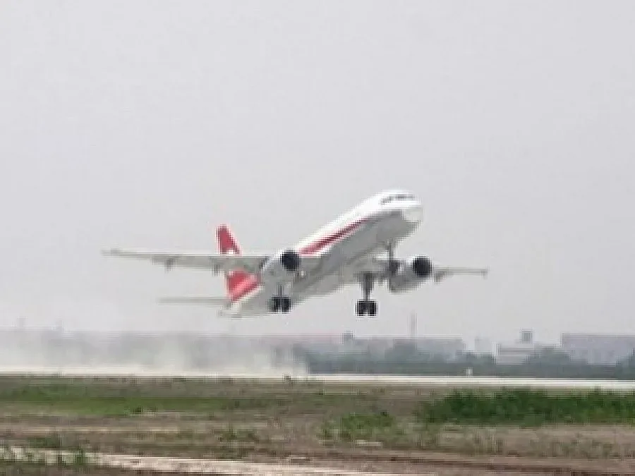 Пътници надвиха похитители в самолет