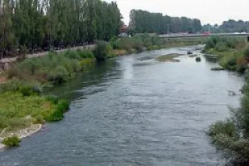 Заради крава мъж се удави в Марица