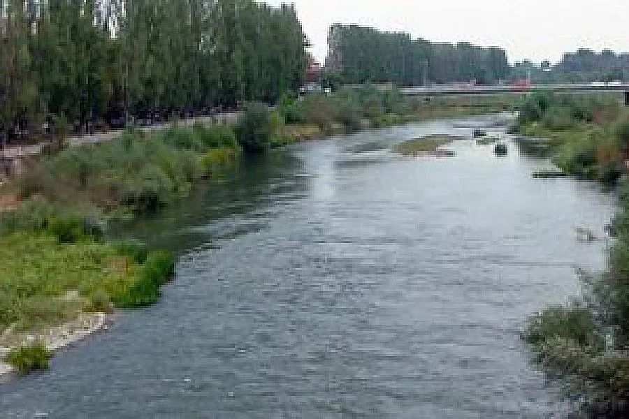 Заради крава мъж се удави в Марица
