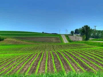 Лев на декар искат кметове