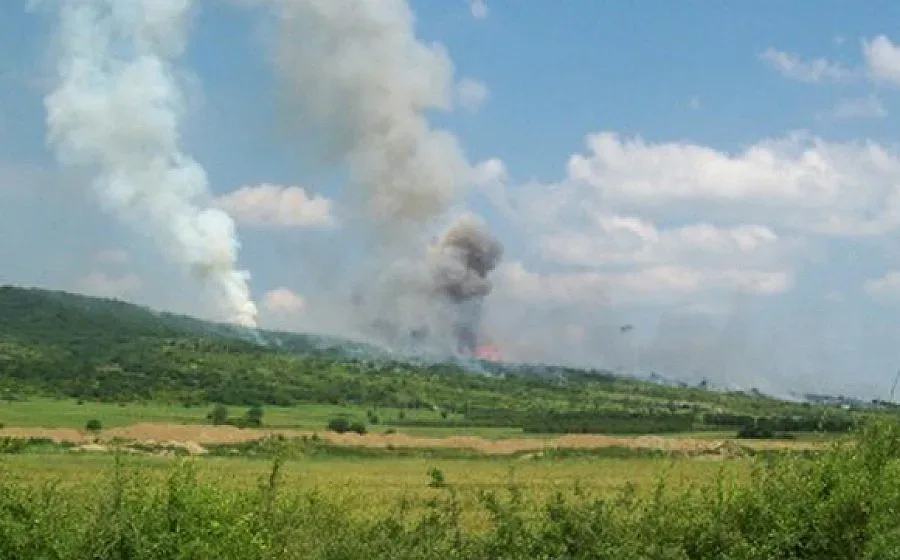 "Берета Трейдинг” ще жънат край Петолъчката