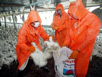 Птичият грип се пренася и от човек на човек