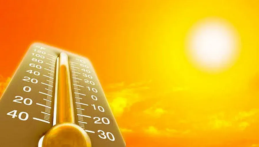 Мор в Македония, градусите скачат до 41