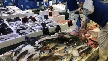 Кошмар на морето! Една риба удари 40 лева за килограм