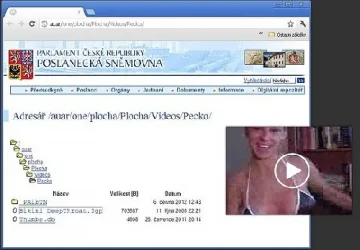 Парламентът на Чехия лъсна по долни гащи