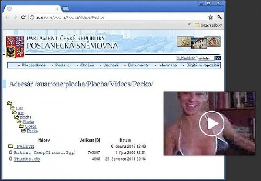 Парламентът на Чехия лъсна по долни гащи