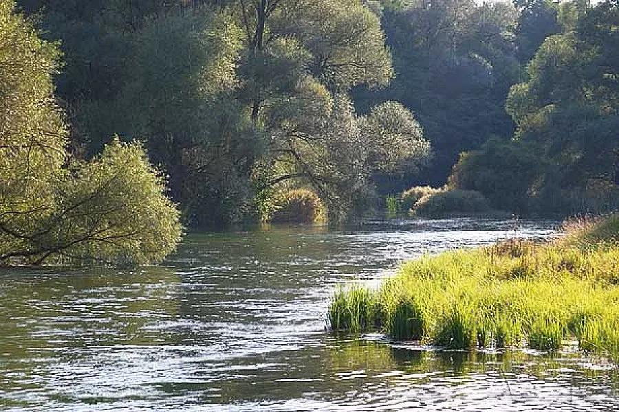 Откриха тялото на петгодишно момче в Тунджа