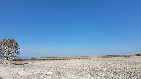 Наше село привлича чужденци за живеене