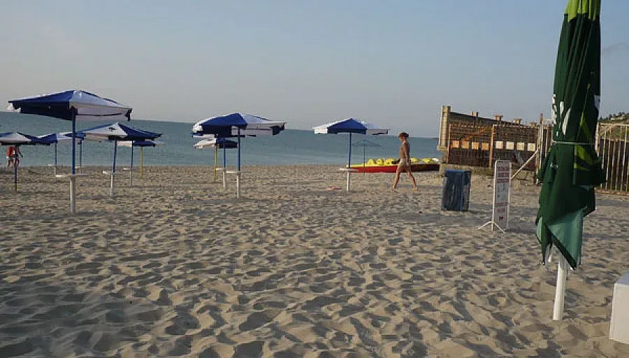 Пипнаха мним работодател