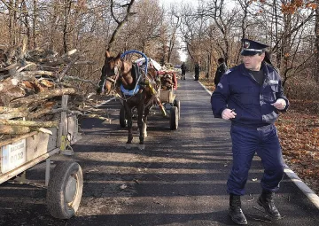 Всеки десети полицай с язва