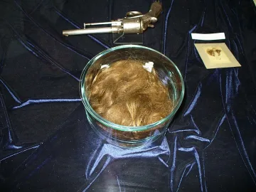 Косите и тефтерът на Апостола - в Народното събрание