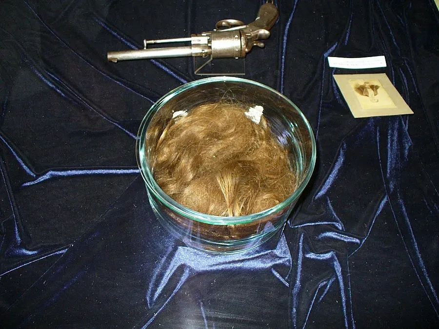 Косите и тефтерът на Апостола - в Народното събрание