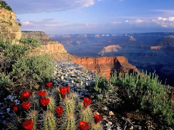 Краят на света идва внезапно