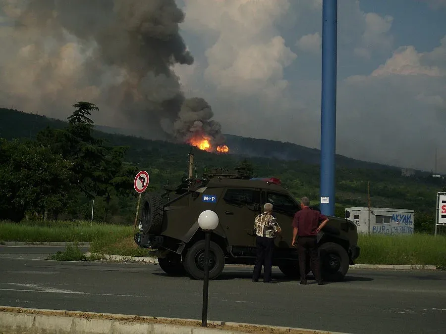 "Берета" внесла "Пясъчните котки"   