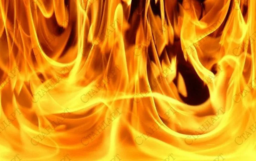 Драснаха клечката на БМВ в Златните