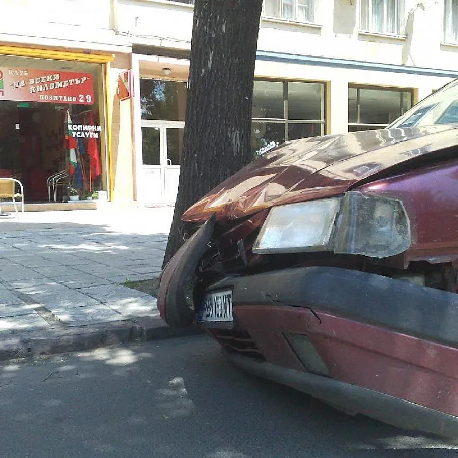 Пишман-шофьорка помете коли на депутат и областен