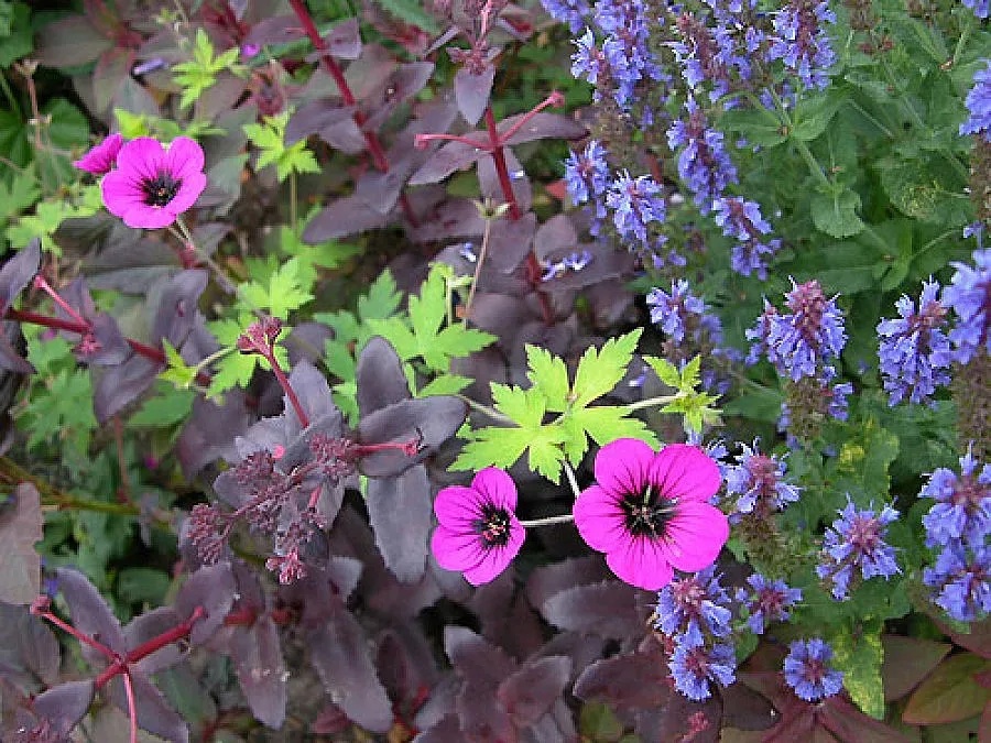 Дъжд и жеги до 36 градуса през юни