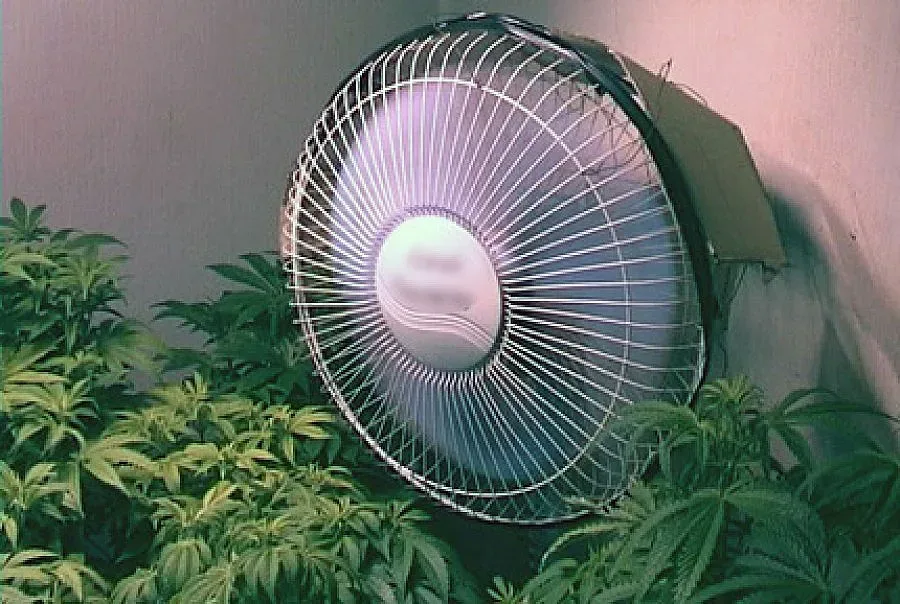 Отвличане извади на светло оранжерия за марихуана