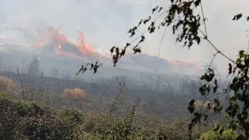 Спряха гръцкия пожар на границата