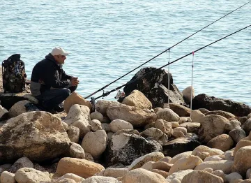 Без цаца и скумрия на морето