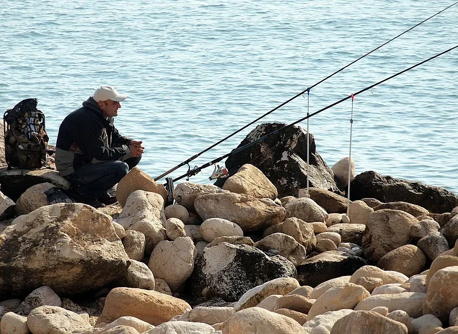 Без цаца и скумрия на морето