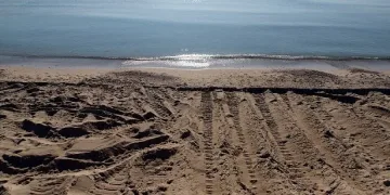 Вадят пясък от морето за плажа
