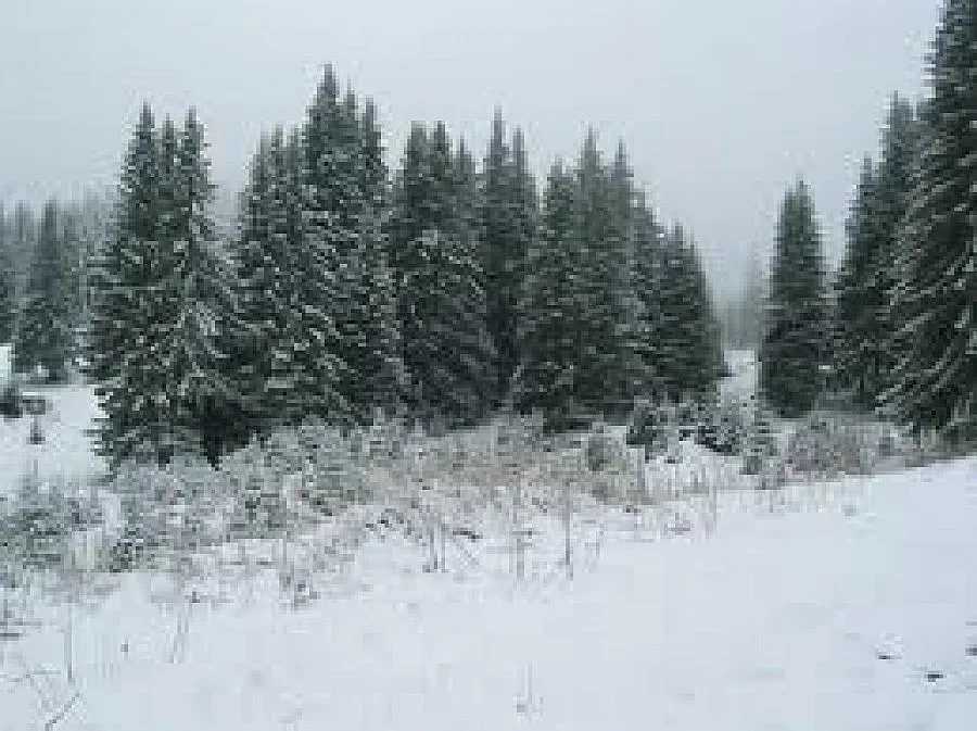 Майски сняг покри Родопите