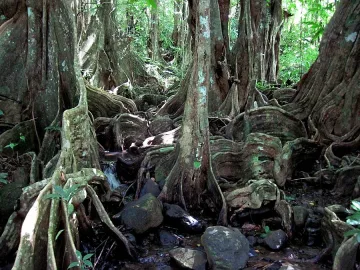 Новият испански посланик екипира наша отличничка