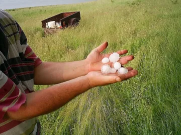 Войната с облаците брани реколта за 290 милиона лева