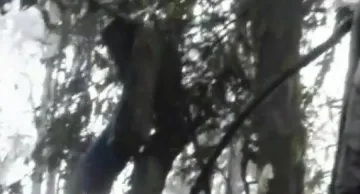 Събират в контейнери жертвите от "Сухой" (ВИДЕО)