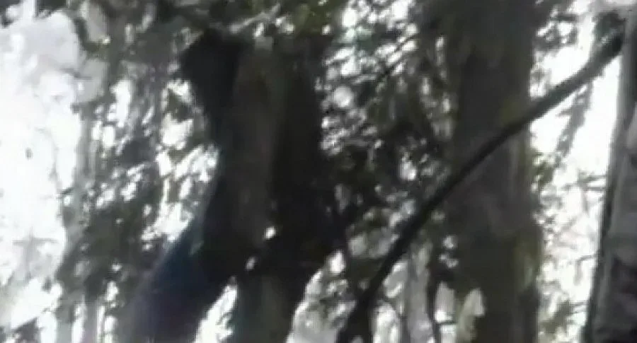 Събират в контейнери жертвите от "Сухой" (ВИДЕО)