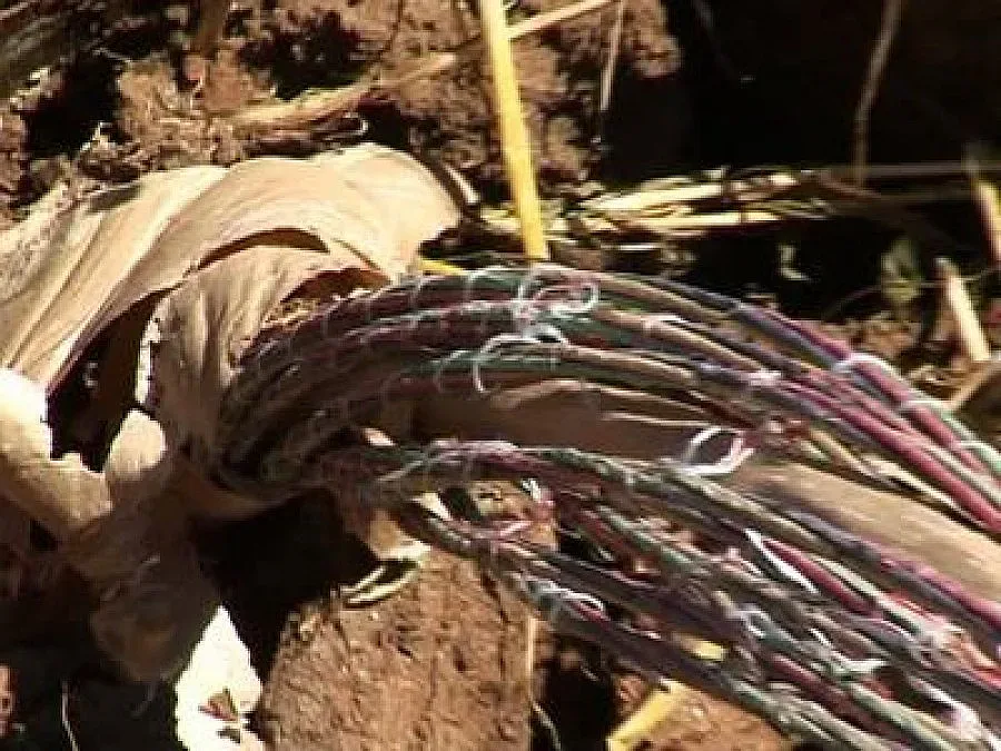 ДАНС парализирана заради откраднат кабел