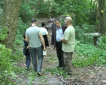 Оглеждат за още дървета-убийци в Шумен 