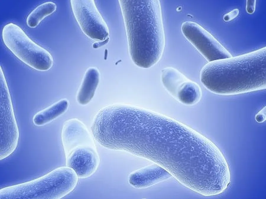 Ужас по родното Черноморие! Рядка бактерия взе жертви