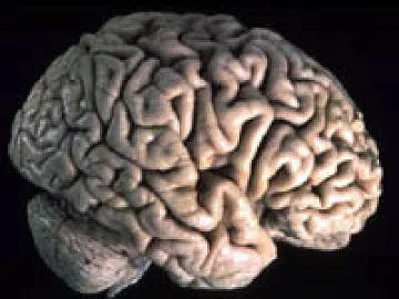 100 полицаи "изгърмяха" на психотест