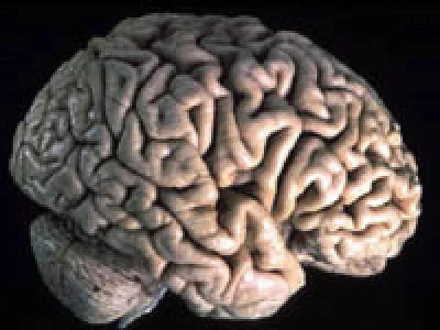 100 полицаи "изгърмяха" на психотест