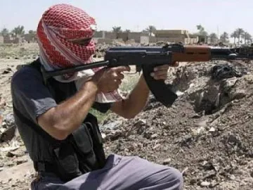 "Ал Каида" залага на вълци единаци