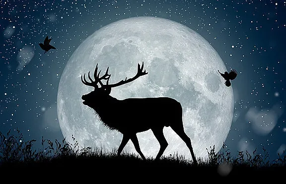 Еленова луна променя живота на 4 зодии. Покоряват света
