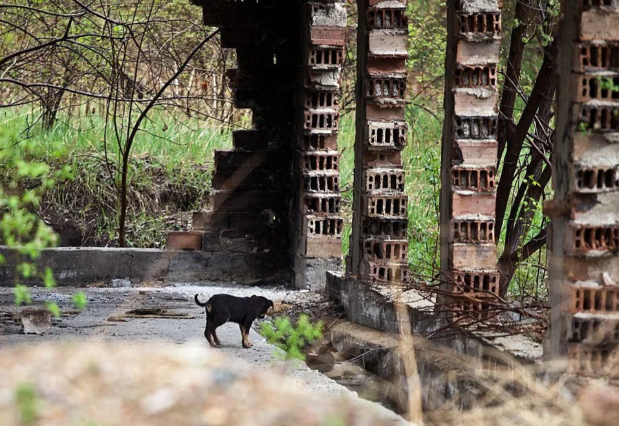 Откриха разчленен труп в "Люлин"
