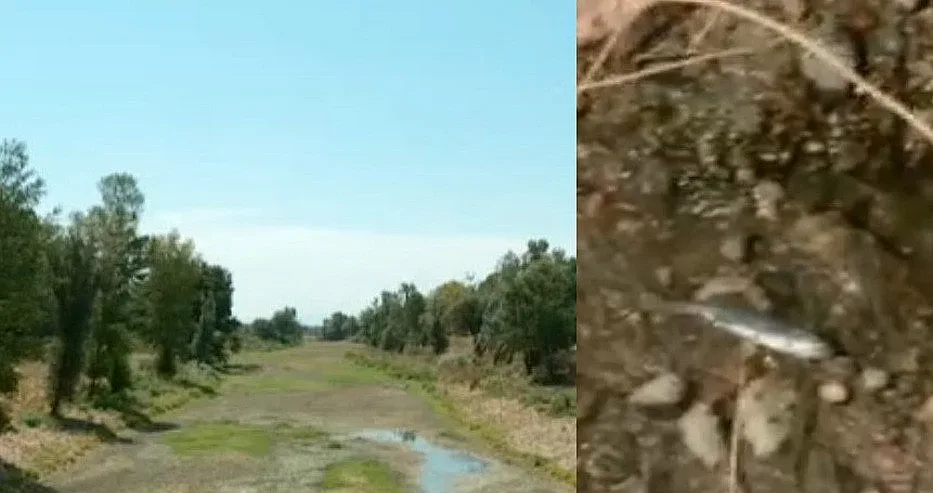Пресъхна голяма река у нас! Хората са изумени