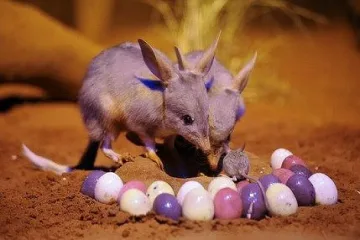 Как светът отбелязва Великден