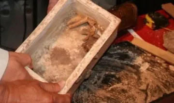 Компютърни асове търсят крадците на мощите 