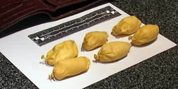 Закопчаха четирима с кокаин